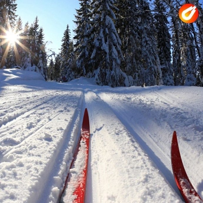 Комитет по туризму Московской области представил подборку 10 популярных лыжных трасс в регионе