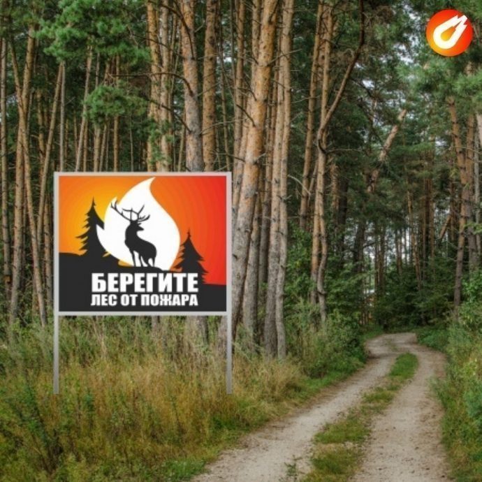 В Подмосковье утвержден план противопожарной безопасности лесных массивов
