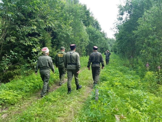 Более 1800 патрулирований провели сотрудники лесной охраны Истринского лесничества с начала 2023 г.