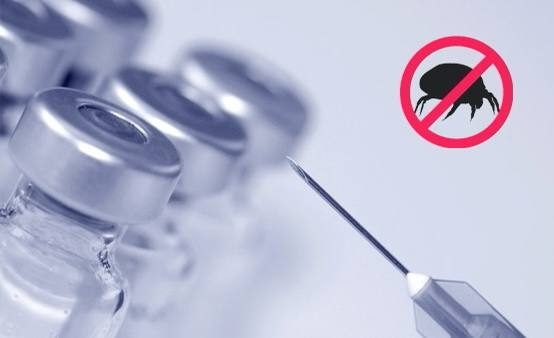 Жители городского округа Истра могут пройти вакцинацию от клещевого энцефалита