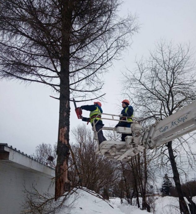 С начала года сотрудники МБУ «ДОДХИБИМР» вырубили 20 аварийных и сухостойных деревьев