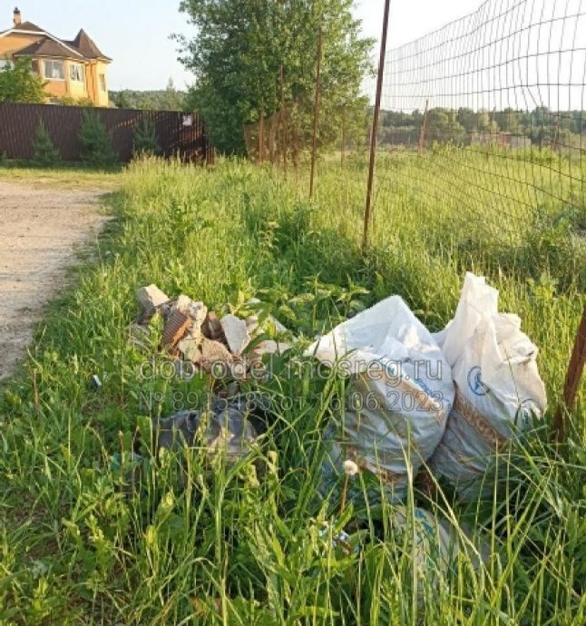 846 кубометров мусора вывезено с обочин г.о.  Истра с начала весенне‑летнего периода