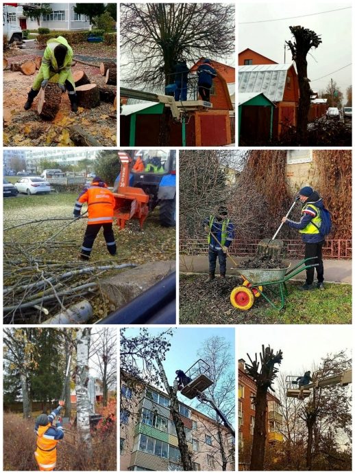 Работа по ликвидации сухостойных деревьев, обрезке сухих ветвей и кустарников продолжается в октябре