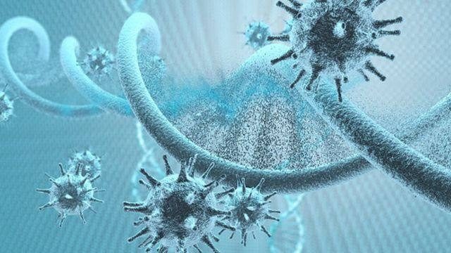Коронавирус будет изменяться и дальше, его изменчивость гораздо выше, чем у вируса гриппа