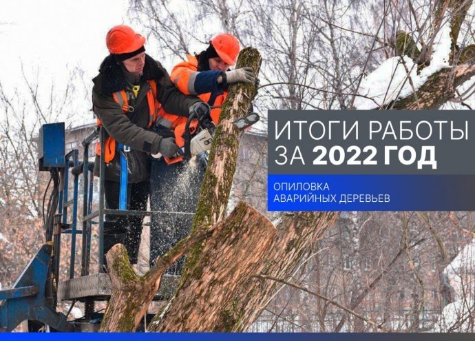 Итоги работы за 2022 год: опиловка аварийных деревьев