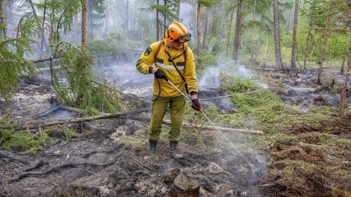 На территории земель лесфонда МО на фоне летней жары установился высокий класс пожарной опасности