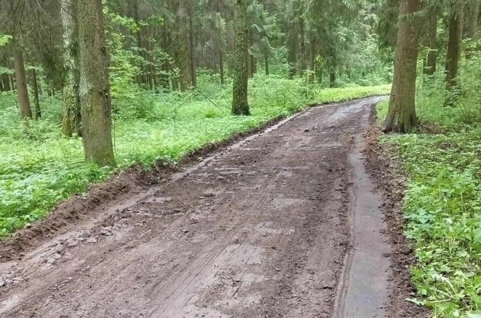 Более 10 км лесных дорог прочищено и обустроено в Истринском лесничестве