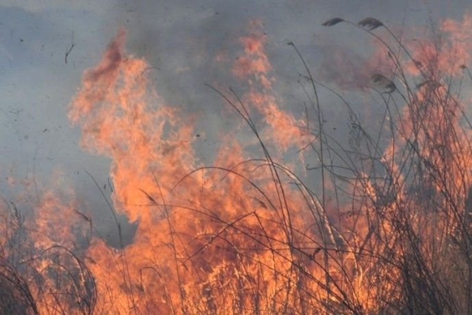 «Оранжевый» уровень опасности из-за возможных пожаров объявили в Подмосковье