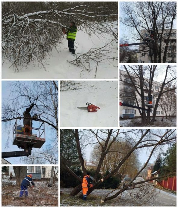 За текущую неделю в г.о. Истра ликвидировали порядка 40 аварийных деревьев