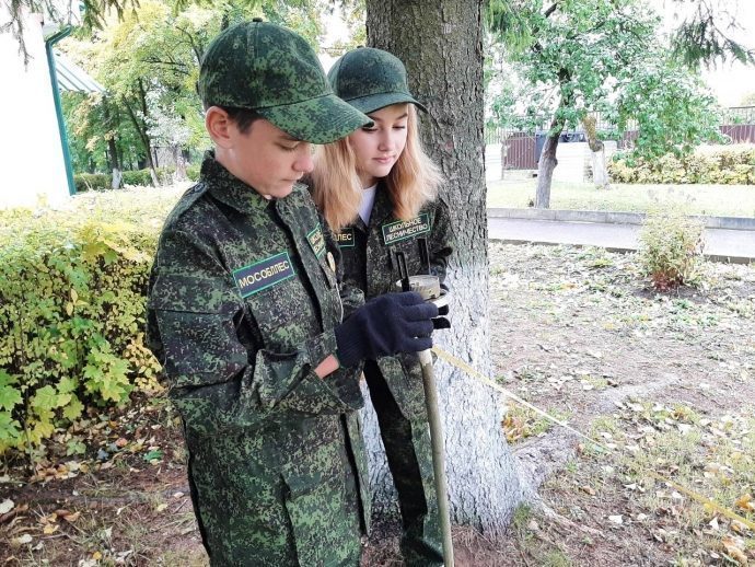 Учащиеся Новопетровской школы примут участие в турнире среди лучших школьных лесничеств