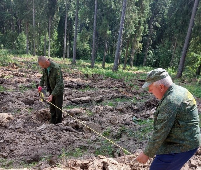 Истринское лесничество проводит работы по подготовке почвы под лесные посадки будущего года