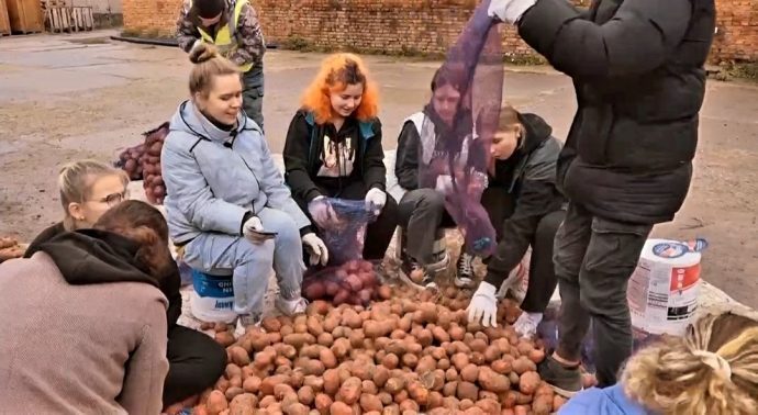 Волонтеры Новопетровской школы помогли собрать картофель для жителей почтенного возраста