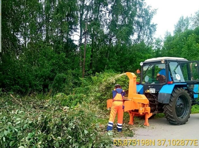 ​МБУ «ДОДХИБИМР» продолжает работы по удалению опасных деревьев.