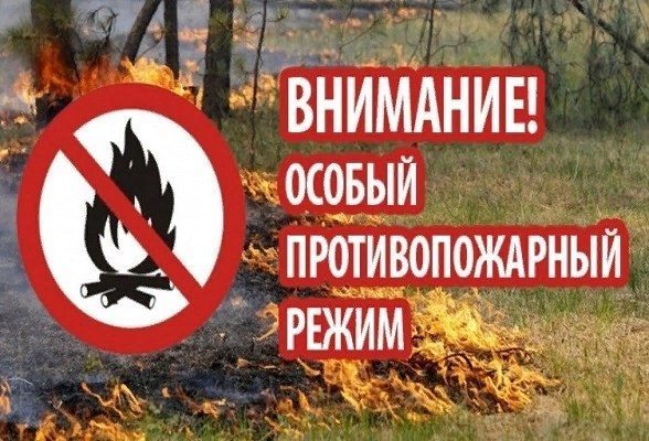 С 28 апреля в лесах Московской области действует особый противопожарный режим