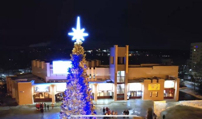 Единороссы поддержали проведение центральной елки городского округа Истра